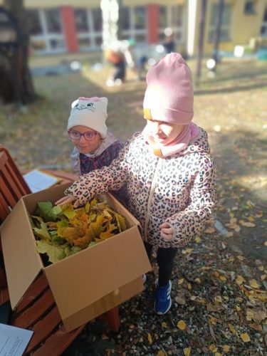 przyjaciele-przyrody 2025 031