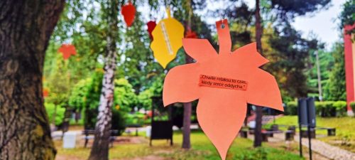 wylyz na luft 2025 029